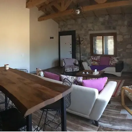 Regulus Case de vacanță *