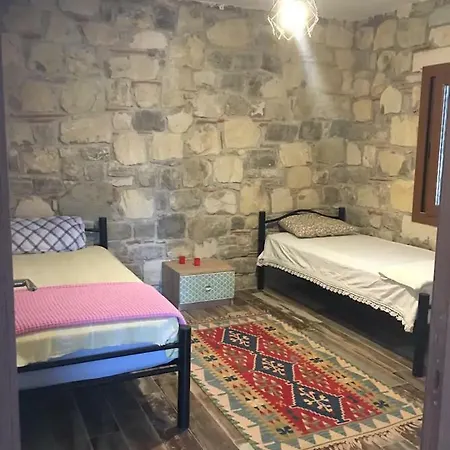 Regulus Case de vacanță *